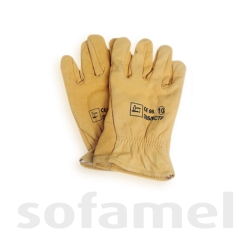 EVSO0036